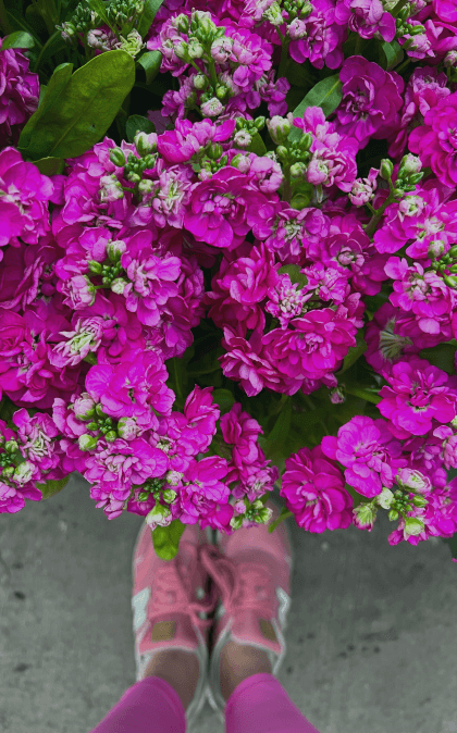 Pinki Flowers